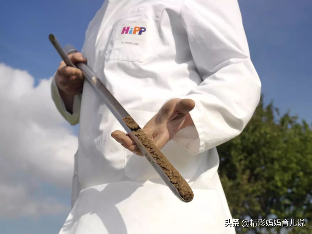 宝宝口粮选择其实并不难,给宝宝选奶粉有哪些注意事项