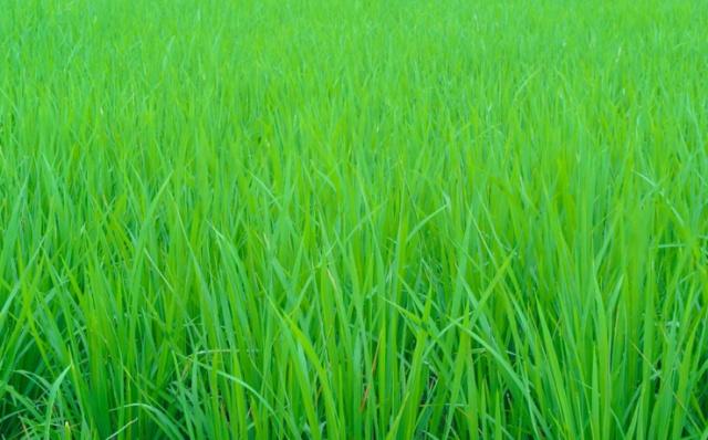 心理测试测什么会有财运,测试你的性格最像什么颜色