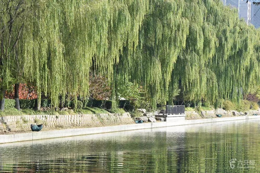 北京九门八点一口钟图片,北京九门八点一口钟