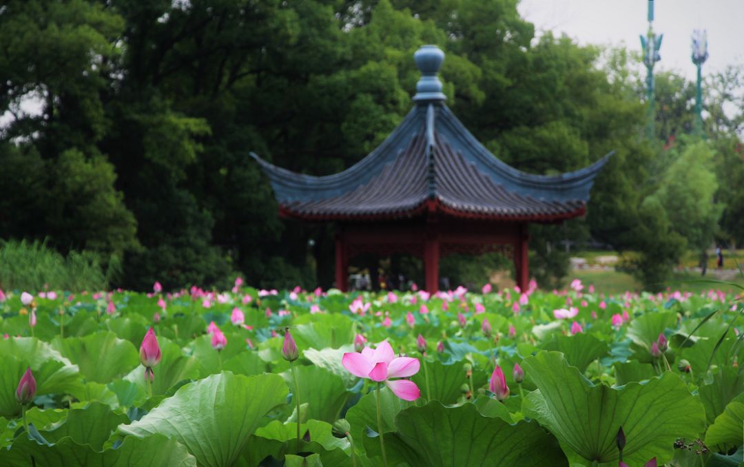 武汉冷门自驾免费景点,武汉旅游景点免费预约