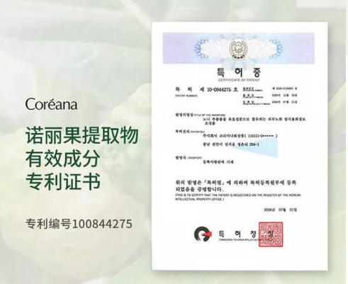 大长今宋慧乔金喜善,大长今金喜善宋慧乔