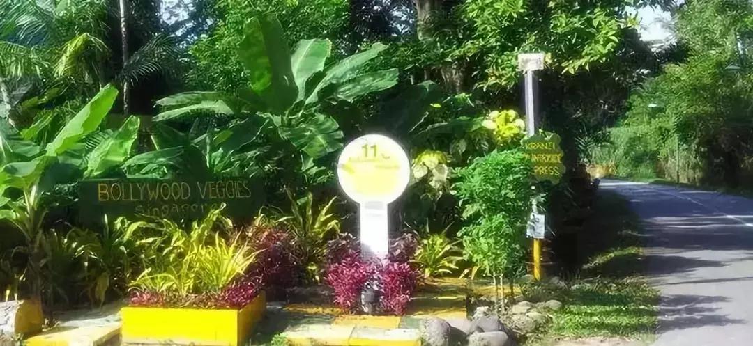 开眼界农业,开眼界学到知识