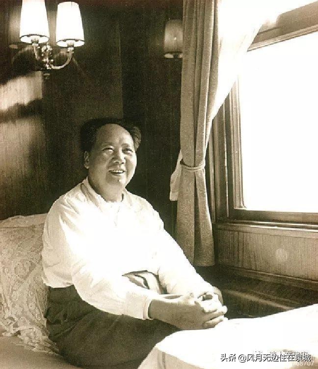 济南一颗梧桐树,济南的法国梧桐