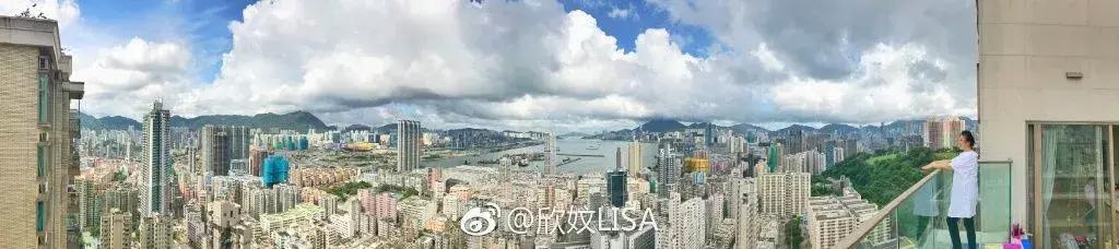 老佛爷的猫继承多少遗产,老佛爷去世了猫继承了多少遗产