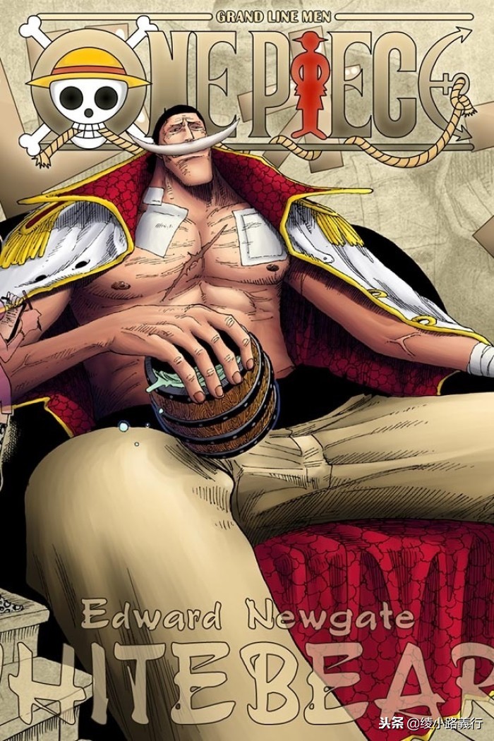 海贼王漫画叫什么名字,海贼王漫画名字跟动画的区别