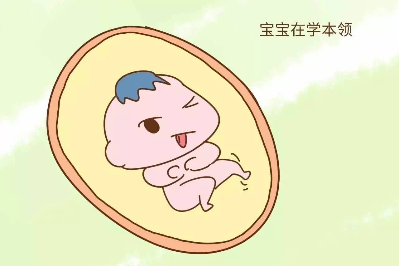 胎儿发育迟缓产检能查出来么,孕五月胎儿活动规律吗