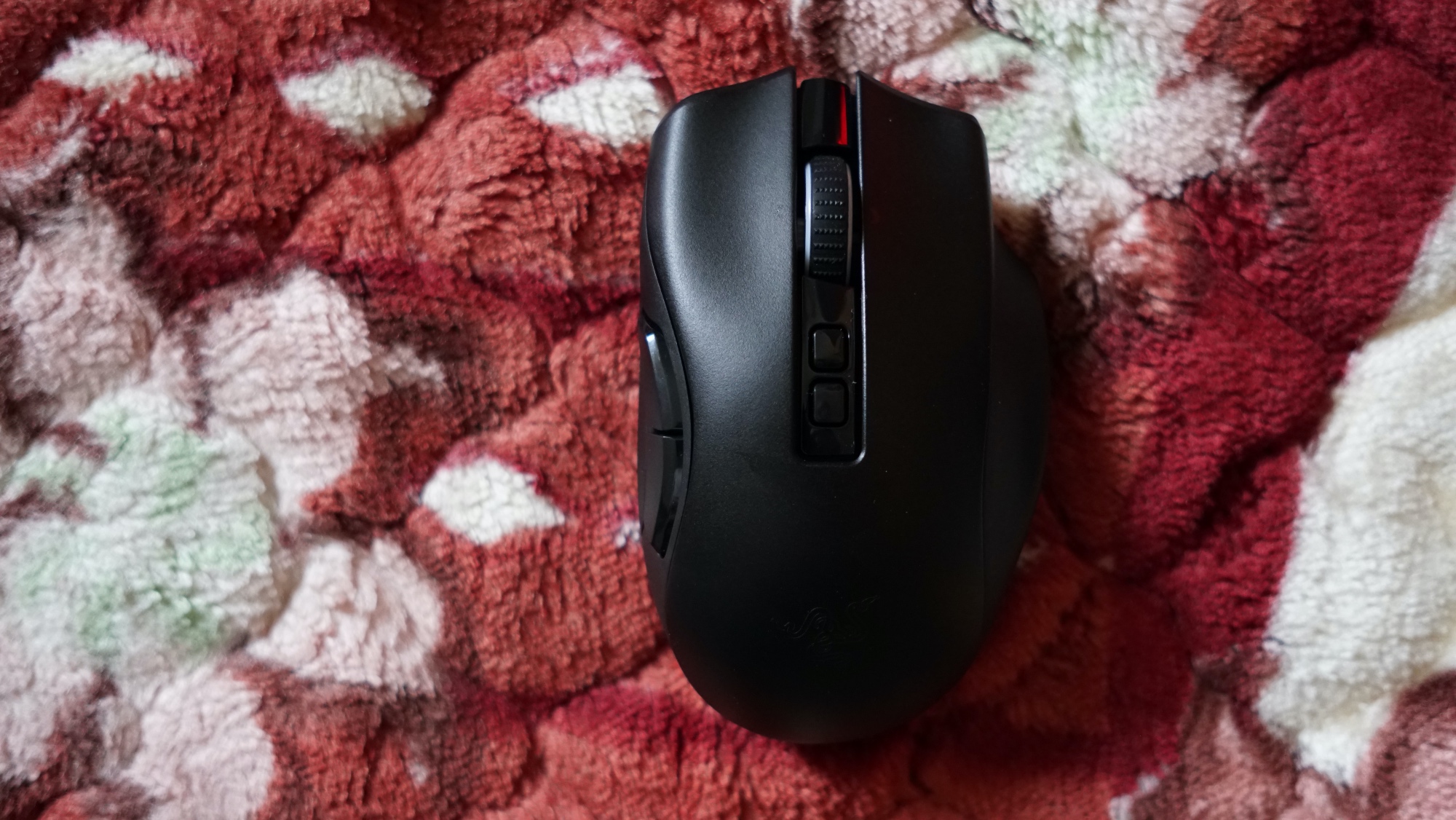 雷蛇nagapro那伽梵蛇专业版,雷蛇娜迦梵蛇专业版和v2的区别