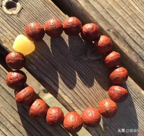 放了2年的凤眼,翻出来,虫子能组一个篮球队了