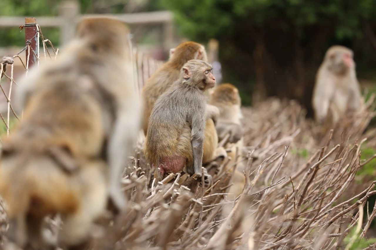 私家车能否自驾南太行挂壁公路,自驾游攻略南太行挂壁公路自驾