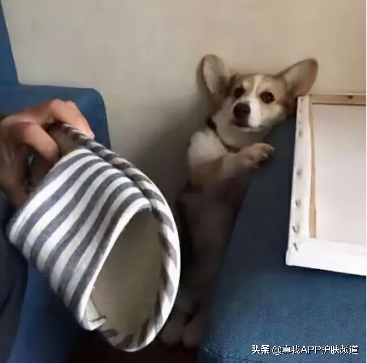 敏感肌肤满脸闭口可以刷酸吗,脸上好多闭口粉刺很敏感怎么办