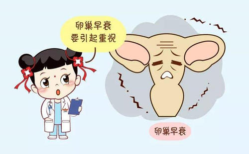 雌二醇1157高吗,孕酮雌二醇偏低卵巢早衰