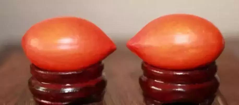 所有菩提手串大展示,菩提手串大全视频