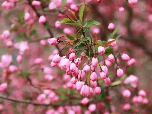 赣州于都传统文化之民间传统禁忌，你知道吗