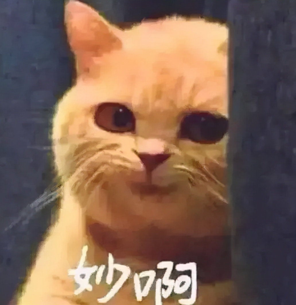 高安被忽略的死亡空间，一天收入足够买一张月卡