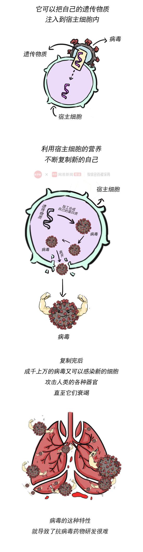 为什么目前没有杀灭病毒的特效药,为什么病毒感染无药根治