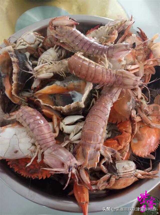 唐山乐亭旅游攻略一日游多少钱,唐山旅游乐亭祥云岛景点大全