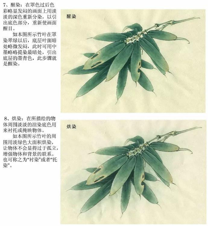 中国花鸟画国画教学,宋代工笔花鸟画表现技法