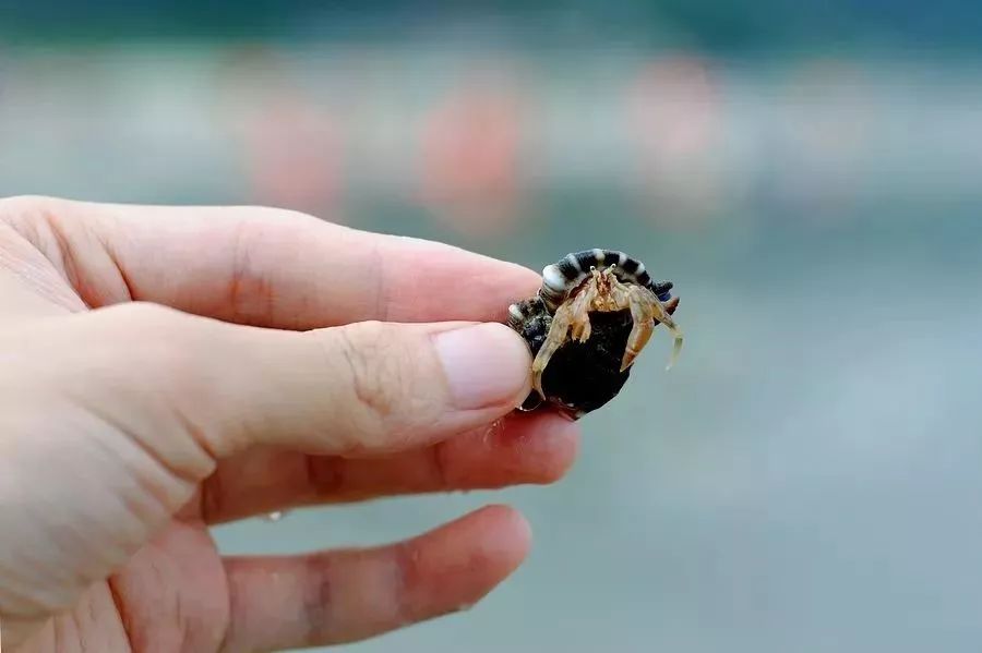 户外儿童帆板夏令营,夏令营水上乐园闯关