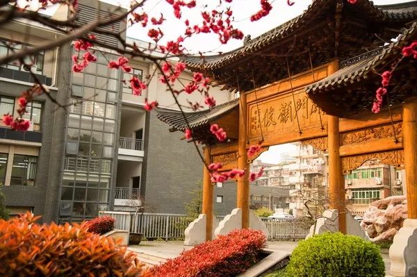 武汉32所重点小学大pk,武汉市十大美丽中学