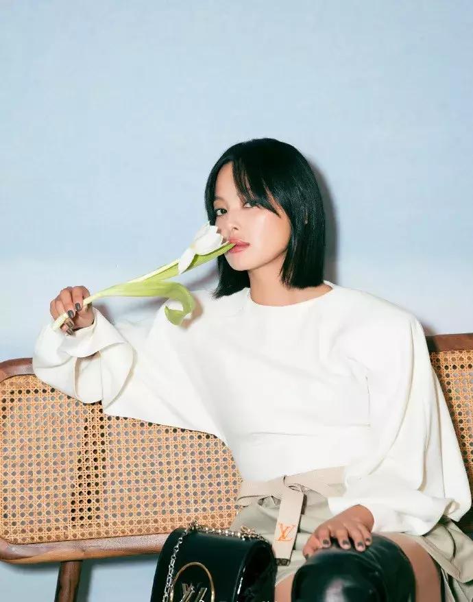 辛芷蕾新剧破案,辛芷蕾的新剧