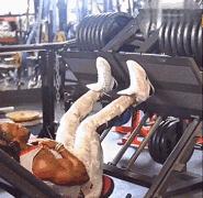 练腿促睾会脱发吗,练腿会提升睾酮吗