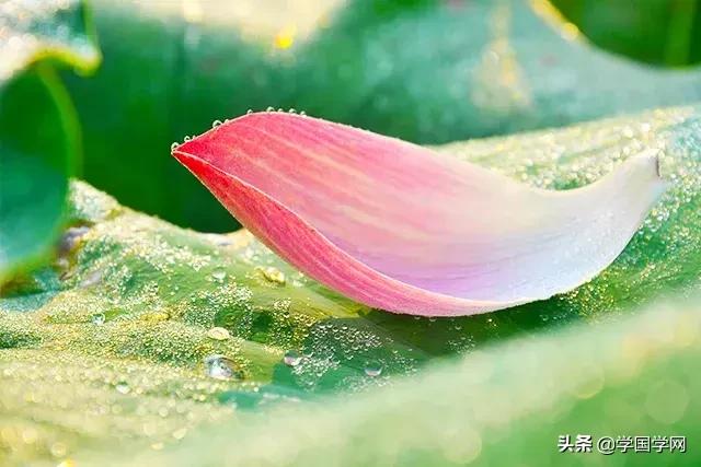 不怕红面关公就怕白面菩萨,不怕红脸关公就怕黑脸包公