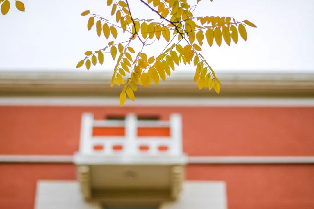 醉美大工秋|读书不觉已秋深，____________