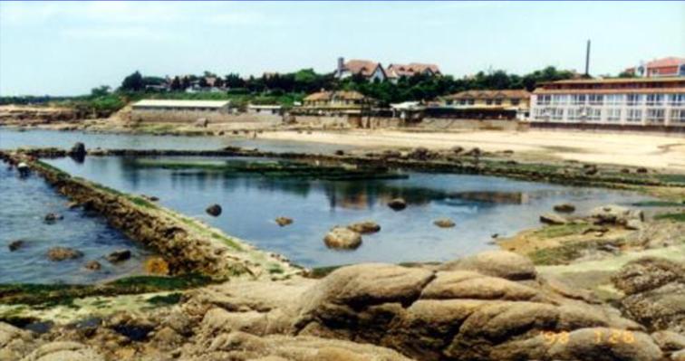 鲍鱼养殖怎么养得好吃,鲍鱼的养殖方法和注意事项