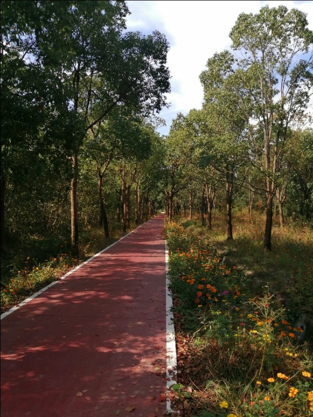 上海八十八亩田地址,上海有七千多多一平方的地方吗