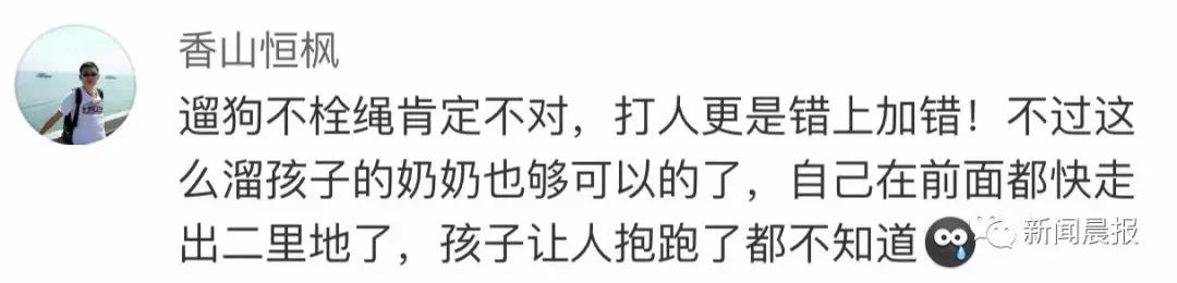 遛狗不牵绳算野狗吗,遛狗不牵狗绳咬伤别人怎么办