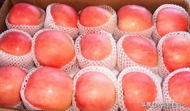 水果批发市场卖水果怎么收费,新手去水果批发市场的几大技巧