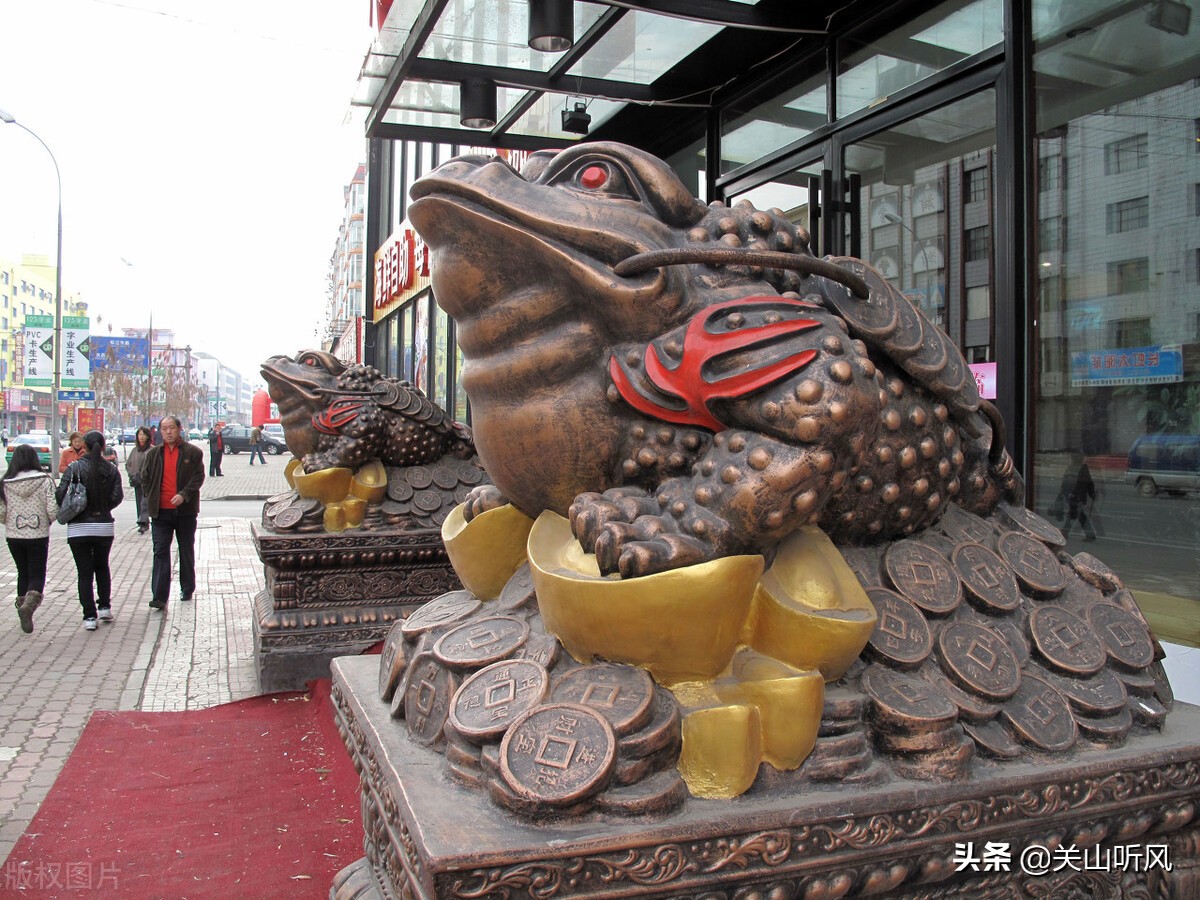 家里蟾蜍进门的真正预兆是什么,蟾蜍进屋是什么征兆