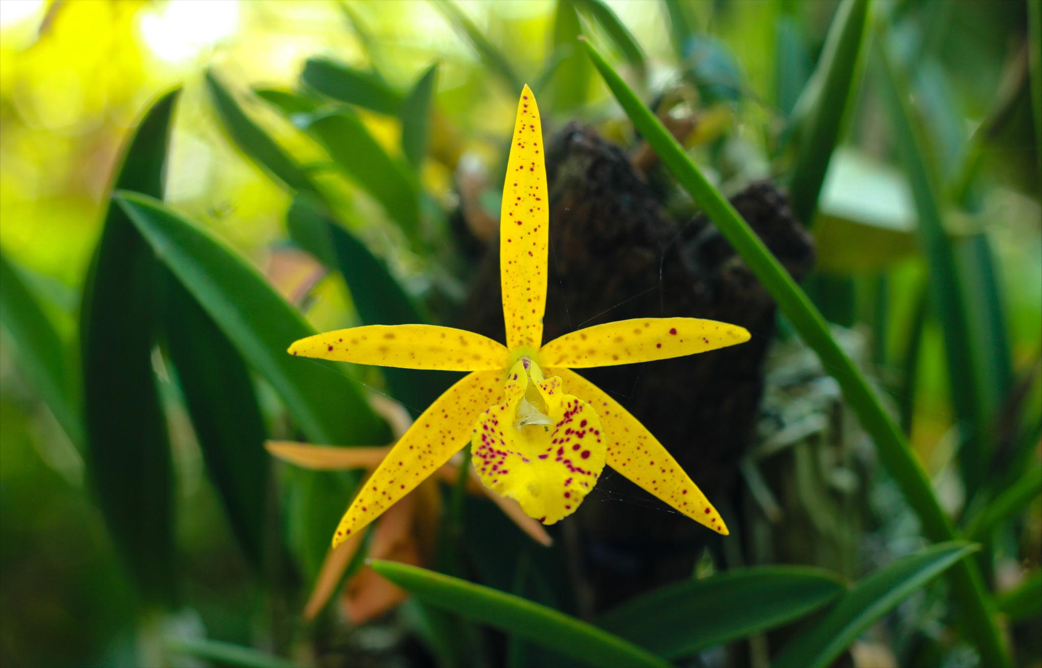 陈占超‖我和二爷的往事