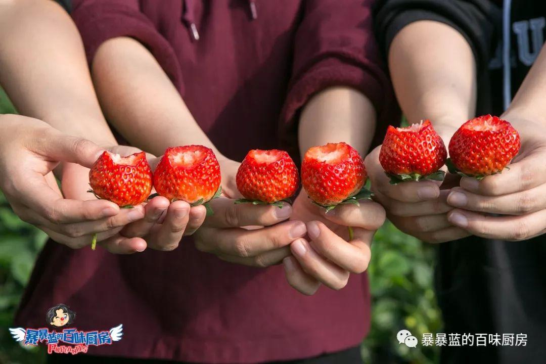 丹东特大久久红草莓,丹东九九大草莓是引进的吗