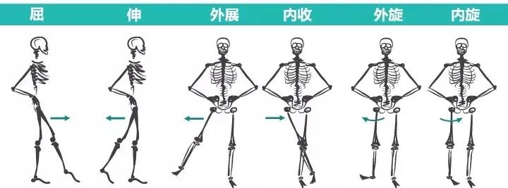 劈叉的胯如何矫正,劈叉骨盆摆不正是什么原因