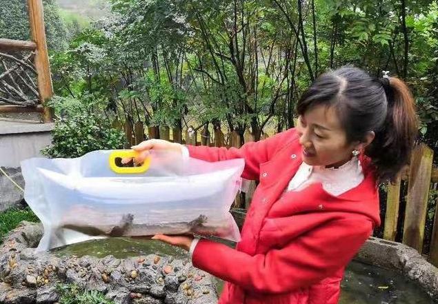 娃娃鱼养殖出路,娃娃鱼的出路在哪里