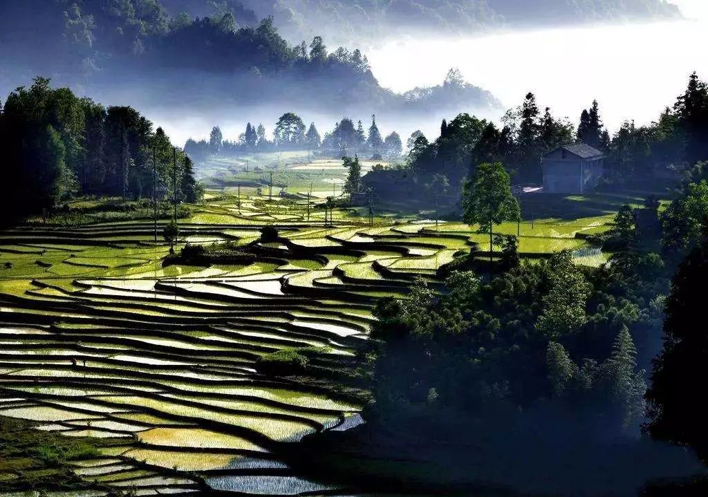 一泡而红！四川这座小城已火向全球，今天万人齐聚！