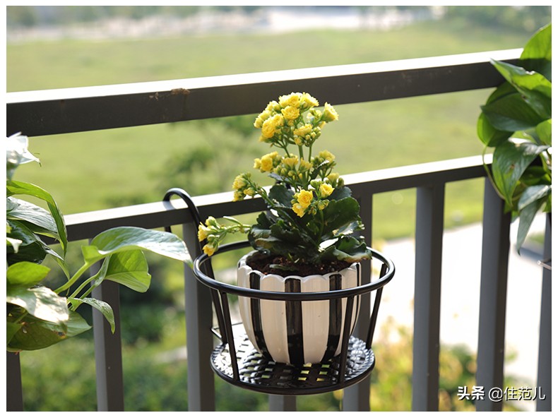 碧桂园阳台花园打造方法,50平打造网红阳台