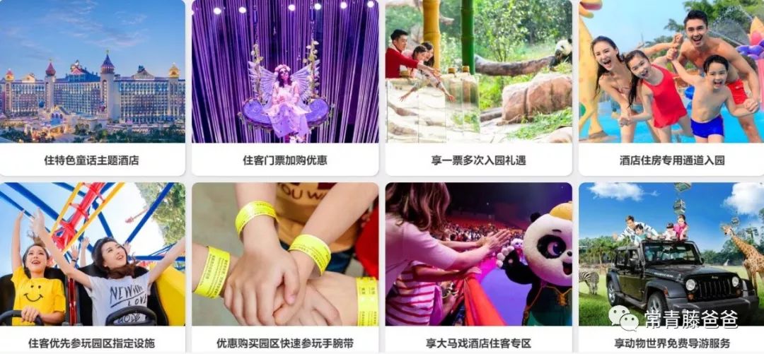 过年去珠海长隆海洋王国游玩攻略,广州长隆欢乐世界带娃一日游攻略