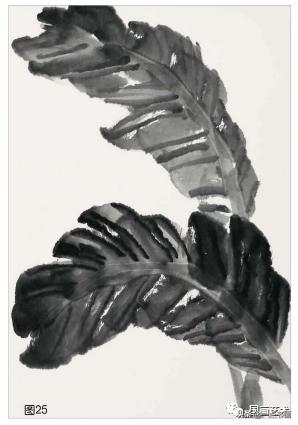 芭蕉叶画法教程,国画芭蕉画法视频