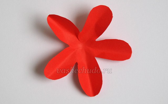 仙人掌小手工,仙人掌儿童创意手工