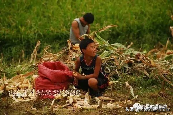 朝鲜七八十年代农村照片,80年代朝鲜老照片农村