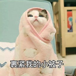 这些大牌的平价线你还不知道？几十块就能入手！