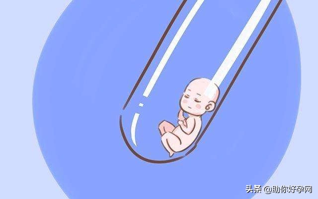 林志玲做几代试管婴儿,林志玲试管婴儿成功了吗