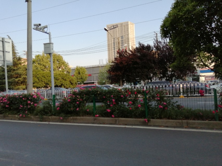 猜句诙谐语，足球迷都会开心地笑，9个字，请来的就是你