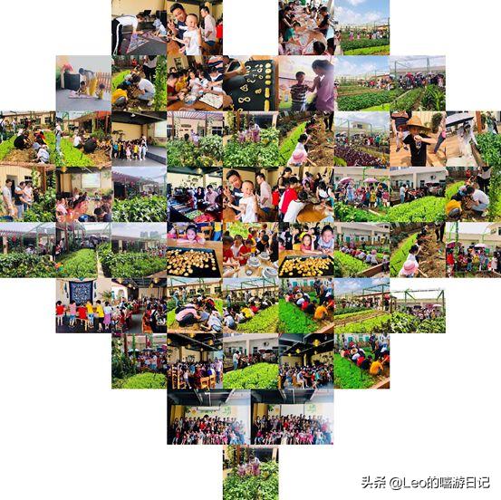 让孩子体验农耕生活的地方,儿童农耕生活体验