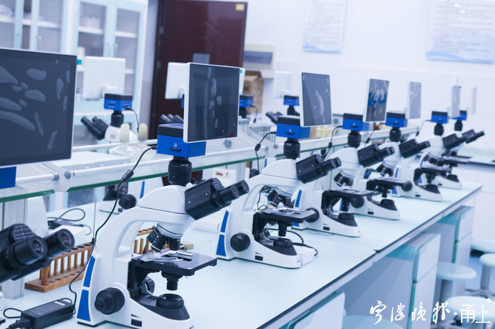 宁波姜山镇实验中学普高录取率,宁波姜山初级中学普高录取率