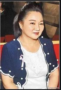 白冰冰女儿被害事件,白冰冰女儿被害惨案