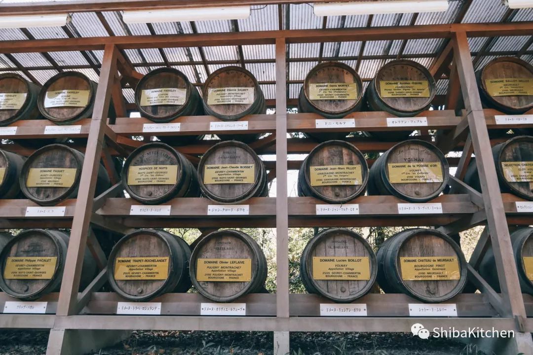 表参道和代官山的距离,表参道代官山店几点开门