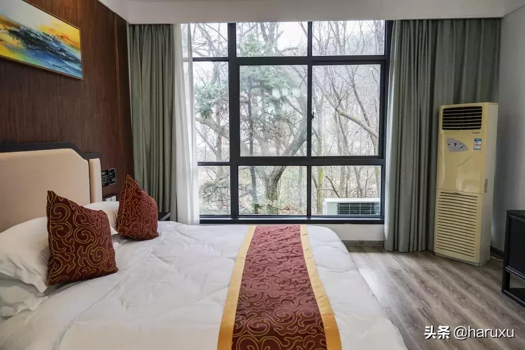 南方也能下雪吗,南方也能见到雪